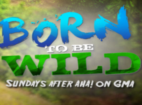 Born To Be Wild January 12 2025 Replay Full Episode